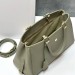 Сумка Celine Appoline Medium RE5491