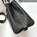 Сумка Celine Appoline Medium RE5490