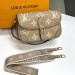 Сумка Louis Vuitton Diane RE3955