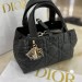 Сумка Christian Dior Toujours Small RB4561