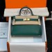 Сумка Hermes Kelly Sellier 19 Bambou Chevre RE5011