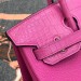 Сумка Hermes Birkin 25 RB5507