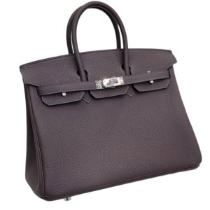 Сумка Hermes Birkin 25 RB5568