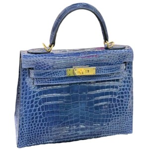 Сумка Hermes Kelly 28 RB5877