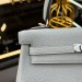 Сумка Hermes Kelly 25 Togo RB5881