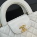 Сумка Chanel Nano Kelly Shopper RB6357