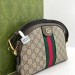 Сумка Gucci Ophidia GG RP4654