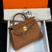 Сумка Hermes Kelly Sellier 19 Bambou Chevre RE5013