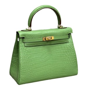 Сумка Hermes Kelly 25 RE5038