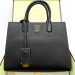 Сумка Burberry Frances Tb RP5294