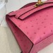 Сумка Hermes Kelly Pochette 22 RB5577