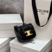 Сумка Celine Triomphe Belt RE6158