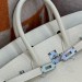 Сумка Hermes Birkin 25 RB6196