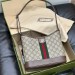 Сумка Gucci Ophidia GG RE6332