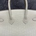 Сумка Hermes Birkin 25 RE4293