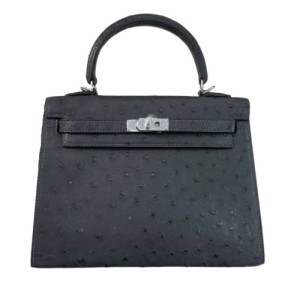 Сумка Hermes Kelly 25 RB5027