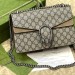 Сумка Gucci Dionysus GG RE6101