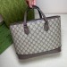 Сумка Gucci Ophidia GG RS5168