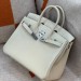 Сумка Hermes Birkin 25 RB6196