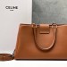 Сумка Celine Appoline Medium RE5492