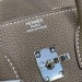 Сумка Hermes Birkin 25 RB5519