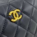 Сумка Chanel Camera Case RP4121