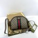 Сумка Gucci Ophidia GG RP4654