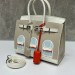 Сумка Hermes Birkin 25 RP4734