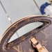 Сумка Louis Vuitton Around Me PM RR6069