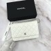 Сумка Chanel Woc RE3976