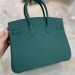 Сумка Hermes Birkin 25 RB4321