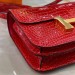Сумка Hermes Constance 18 RB4566