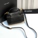 Сумка Saint Laurent Gaby Vanity RE6338