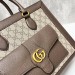 Сумка Gucci RP5526