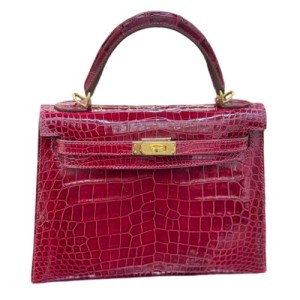 Сумка Hermes Kelly 25 RB5874