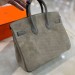 Сумка Hermes Birkin 25 RB5096