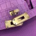 Сумка Hermes Birkin 25 RB5506