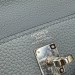 Сумка Hermes Kelly 25 Togo RB5881