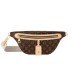 Сумка Louis Vuitton Bumbag RE4571