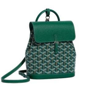 Рюкзак Goyard Alpin Mini Backpack RE5073