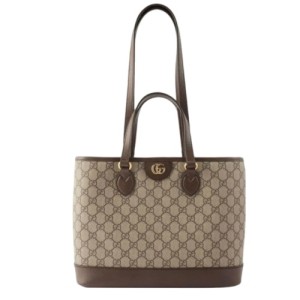 Сумка Gucci Ophidia GG RS5168