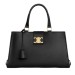 Сумка Celine Appoline Medium RE5490