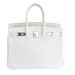 Сумка Hermes Birkin 25 RB6196