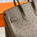 Сумка Hermes Birkin 25 RB6777