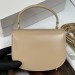 Сумка Celine Mini Besace Clea RE6564