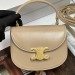 Сумка Celine Mini Besace Clea RE6564