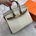 Сумка Hermes Birkin 25 RB6778