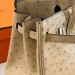 Сумка Hermes Birkin 25 RB6776