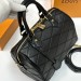 Сумка Louis Vuitton Speedy 25 RE6397