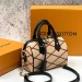 Сумка Louis Vuitton Speedy 20 RE6398